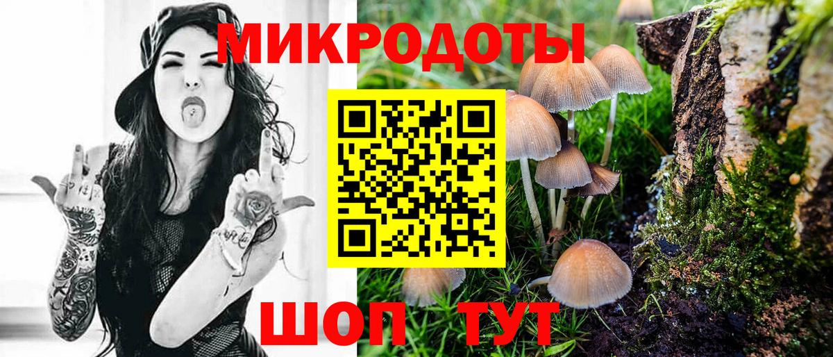 Кудымкар  Псилоцибиновые грибы MAGIC MUSHROOMS  Псилоцибиновые грибы мухоморы  Вход с VPN 
