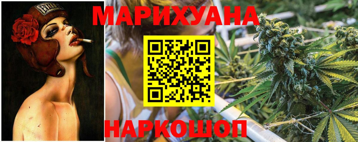 Каннабис планчик Кудымкар